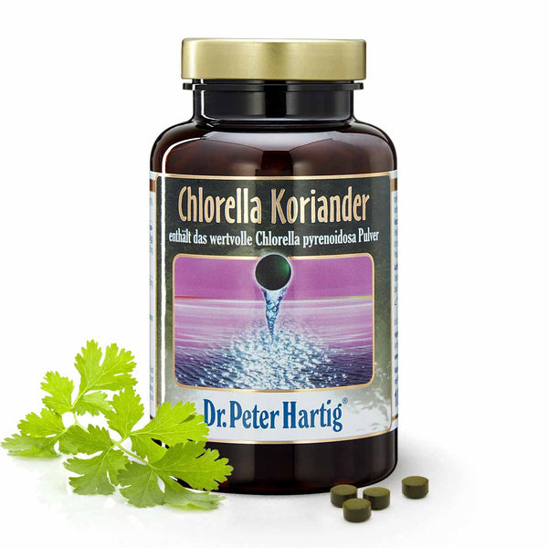 Chlorella Koriander 900