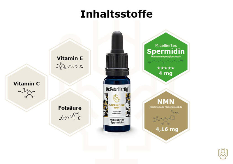 Spermidine NMN